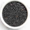 Black Beluga Lentils (10 LB) - S/O