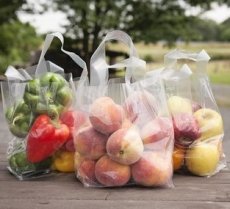Fruit/Veggie Loop Handle Bags (200 CT) - 6-3/4\"x4-3/4\"x8-1/2\"x4-3/4\"