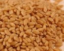 Soft White Wheat (50 LB)