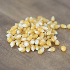 Medium Yellow Popcorn (6/6 LB)