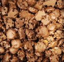 Chocolate Caramel Pecan Clusters (23 Lb) - S/O