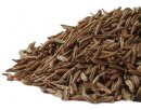 Caraway Seed, Whole (20 LB)