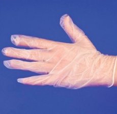 Large Vinyl Gloves, Lightly Powdered (100 CT) - S/O