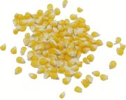 Lady Finger Popcorn (25 LB)