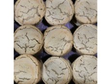 FZ Bulk Peanut Butter Cookies (144 Ct) - S/O