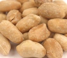 Dry Roasted & Salted X-Large VA Peanuts (15 LB) - S/O