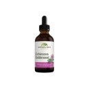 Echinacea Goldenseal Herbal Extract (1/2oz) - S/O