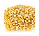 Medium Yellow Popcorn (25 LB)