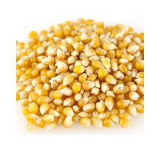 Medium Yellow Popcorn (25 LB)