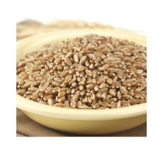 BC Hard Red Spring Wheat (50 LB)