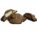Chocolate Marshmallow Turtle (24/1.9 OZ) - S/O