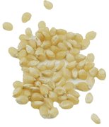 Medium White Hulless Popcorn (50 LB)