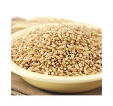 PG Hard White Spring Wheat (25 LB)