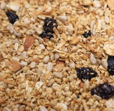 Unsweetened Raisin & Apple Granola (15 Lb) - S/O