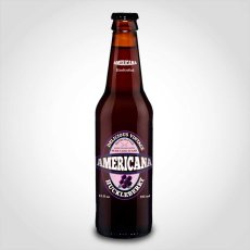 Huckleberry Soda, Americana (24/12 Oz)