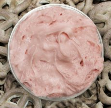 Natural Strawberry Dip Mix (5 LB) - S/O