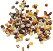 Rainbow Popcorn (50 LB)