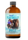 Flat Belly Bully-Detox & Fat Burner, Liquid Blenz (12/16 Oz) Flat Belly Bully-Detox & Fat Burner, Liquid Blenz (12/16 Oz)