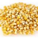 Medium Yellow Popcorn (10/1 LB)