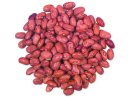 Cranberry Beans (50 LB) - S/O