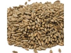 Organic Rye Berries (25 LB) - S/O